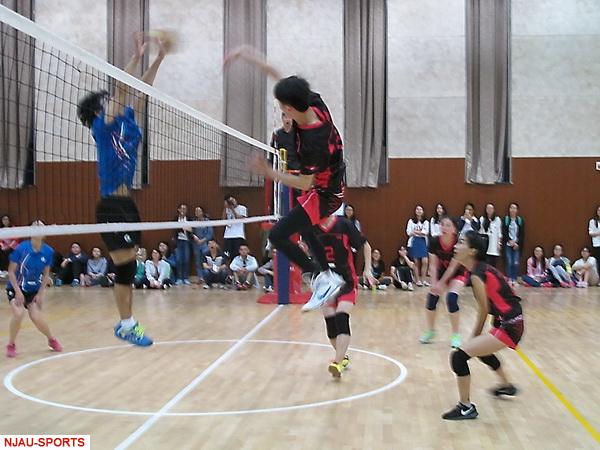 探球体育官方指定端