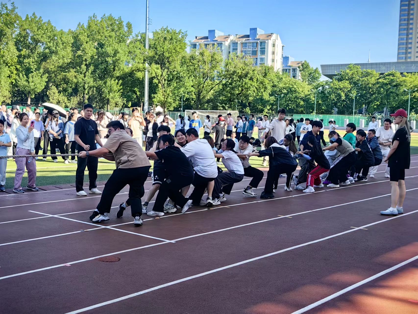 探球体育欧冠直播