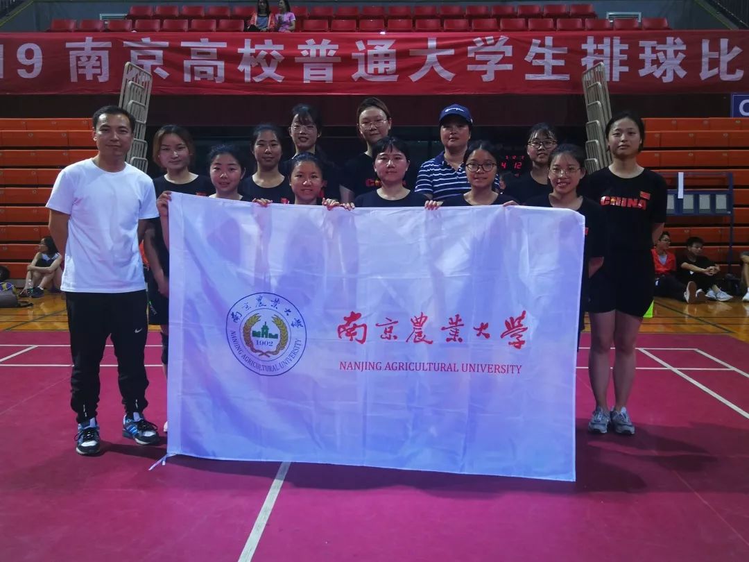 探球体育指定入口图片