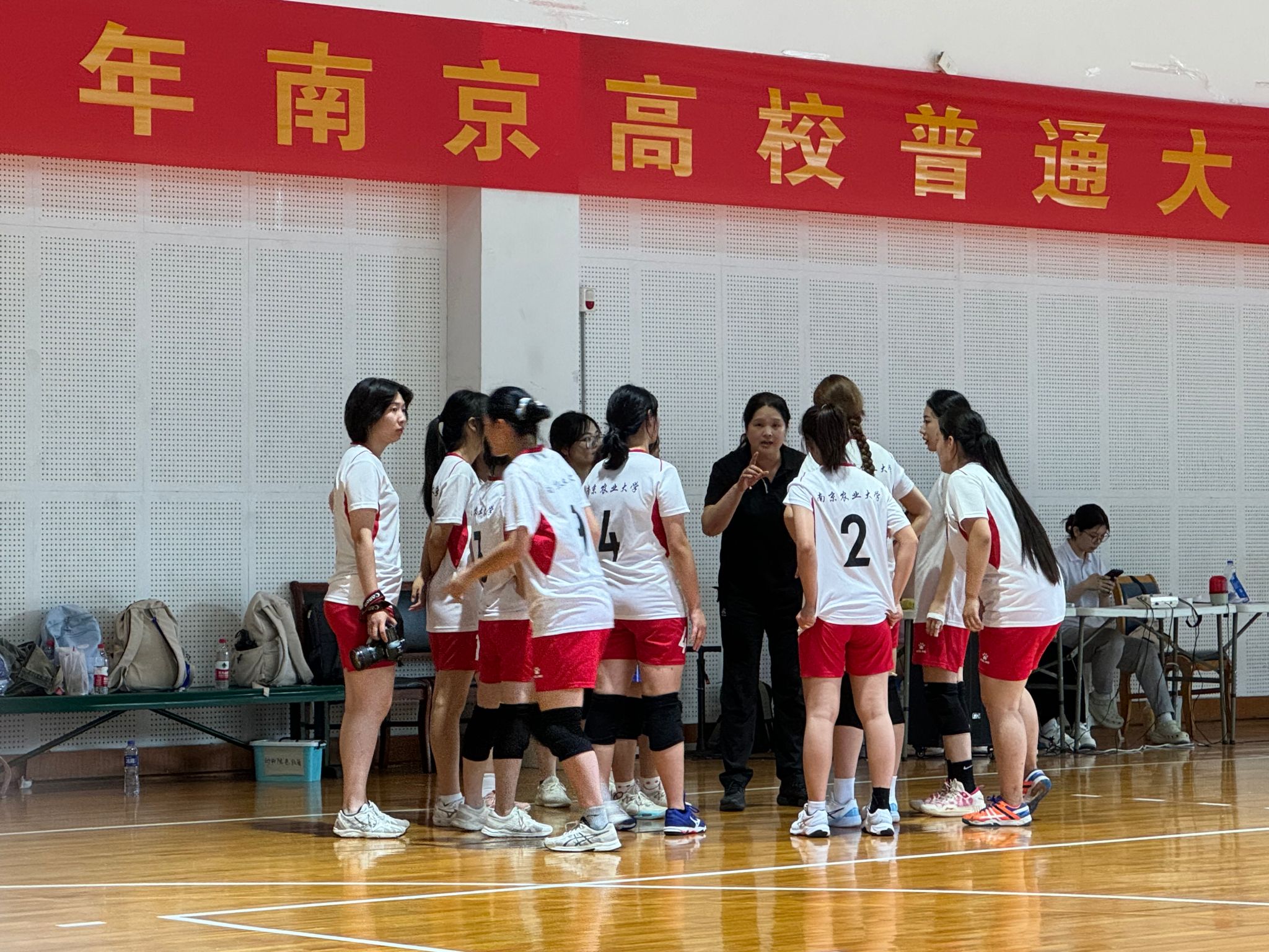 探球体育指定通道
