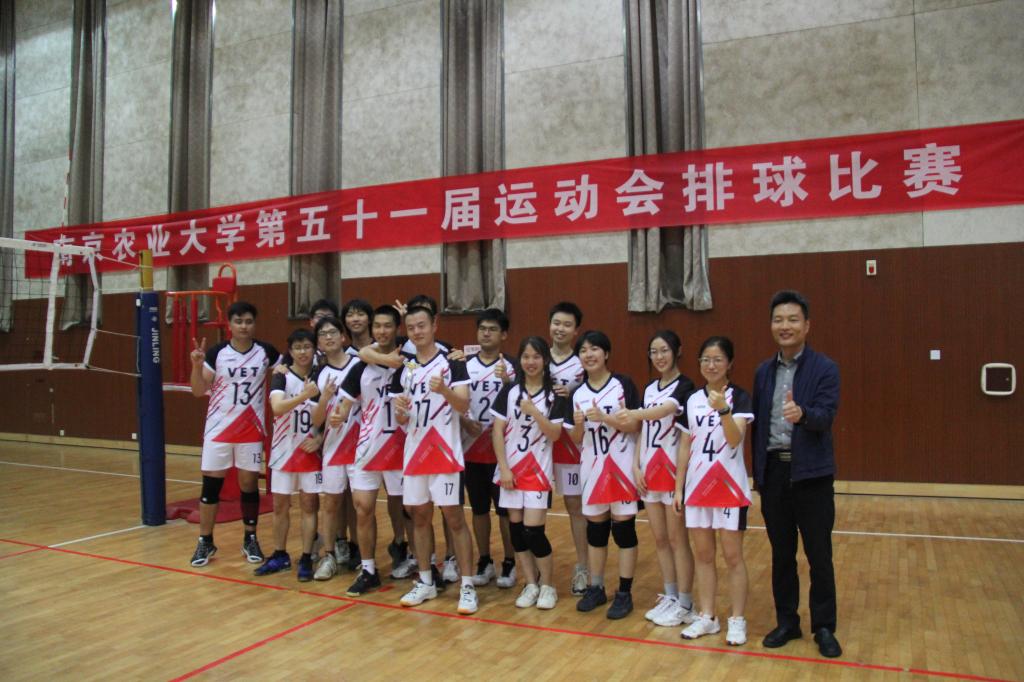 探球体育客户端图片