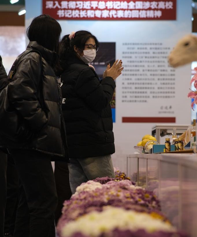 探球体育赛事资讯平台图片