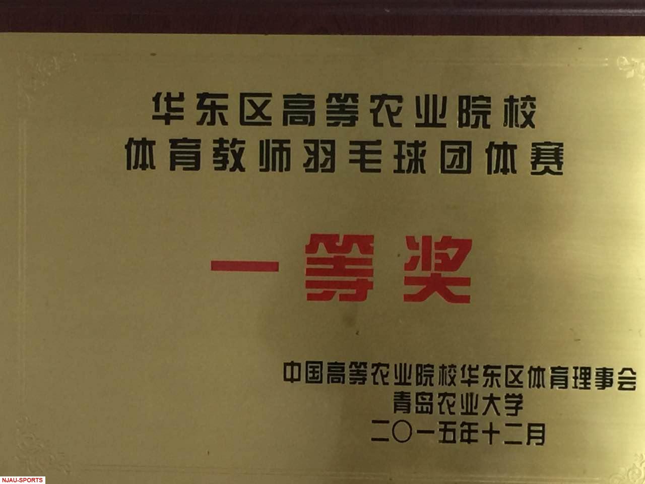 探球体育欧冠直播