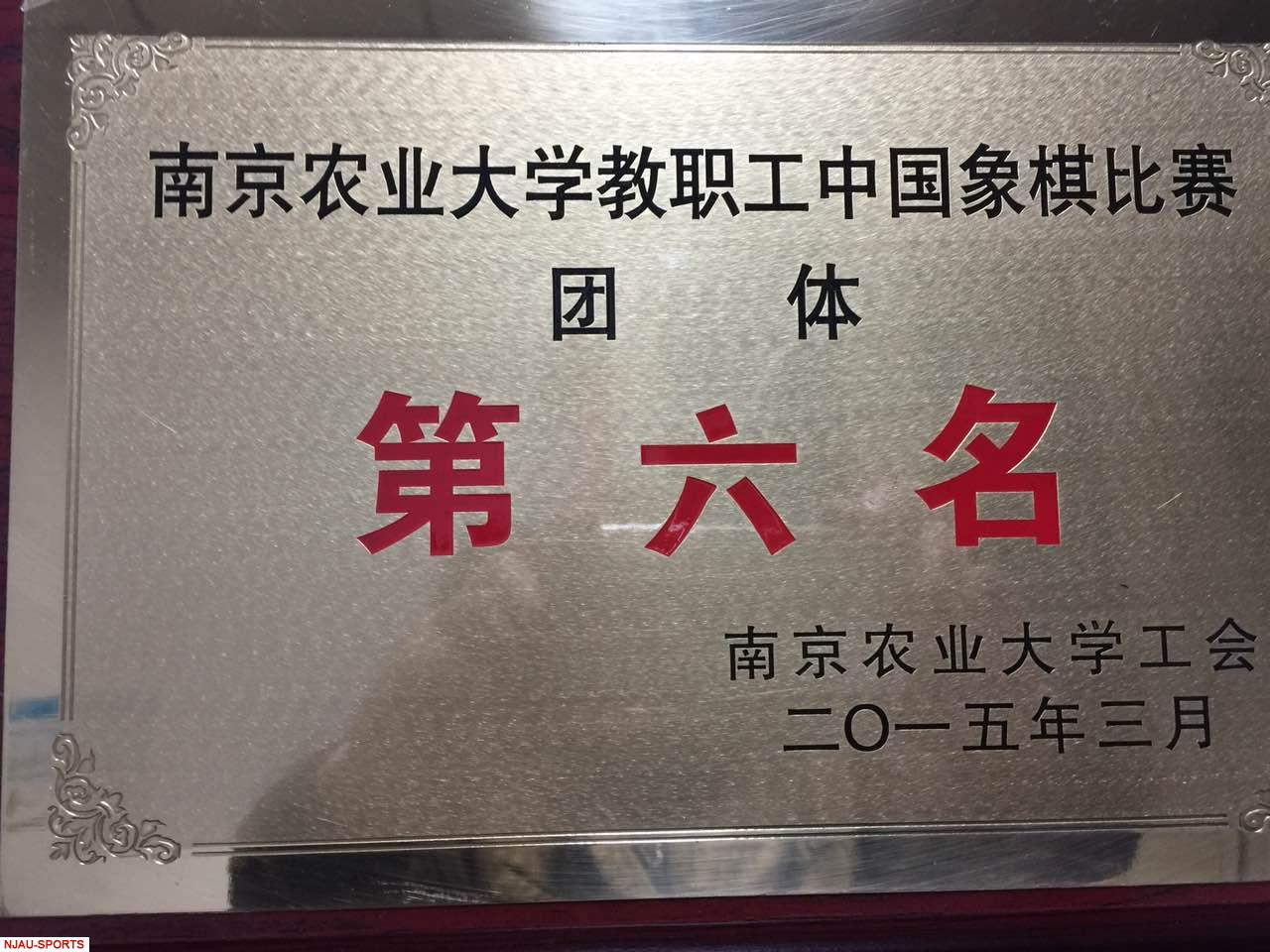 探球体育平台