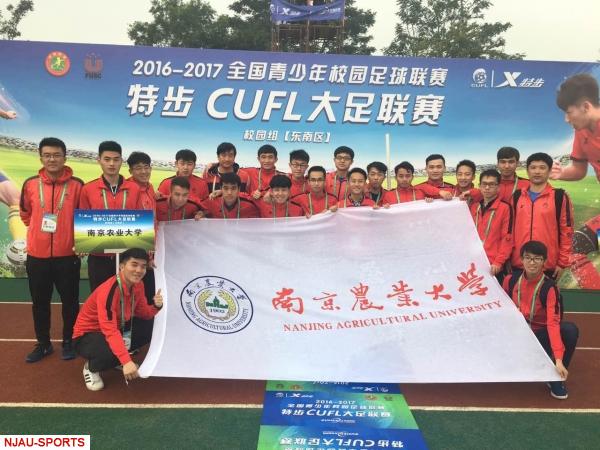 探球体育平台图片