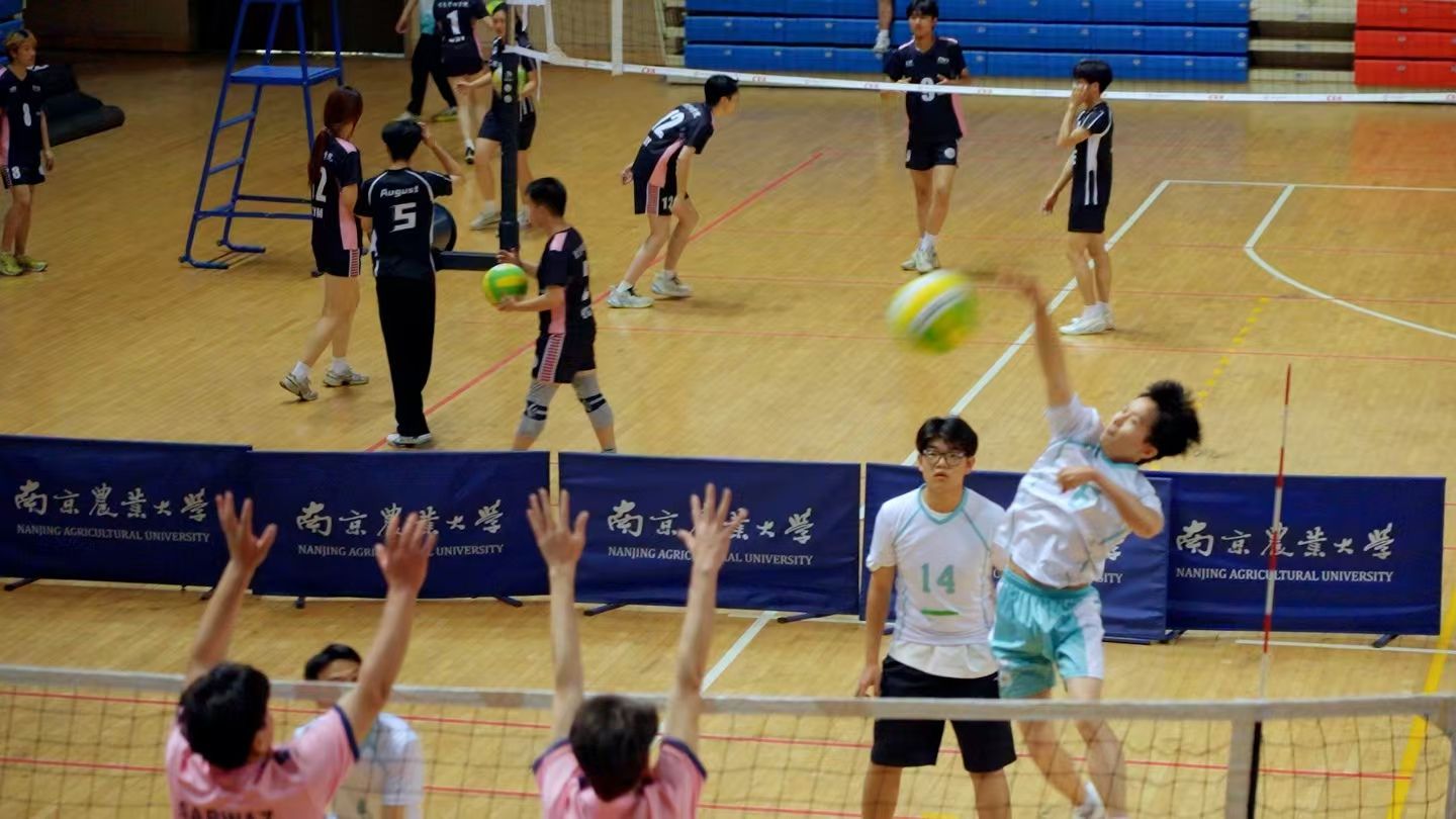 探球体育核心通道