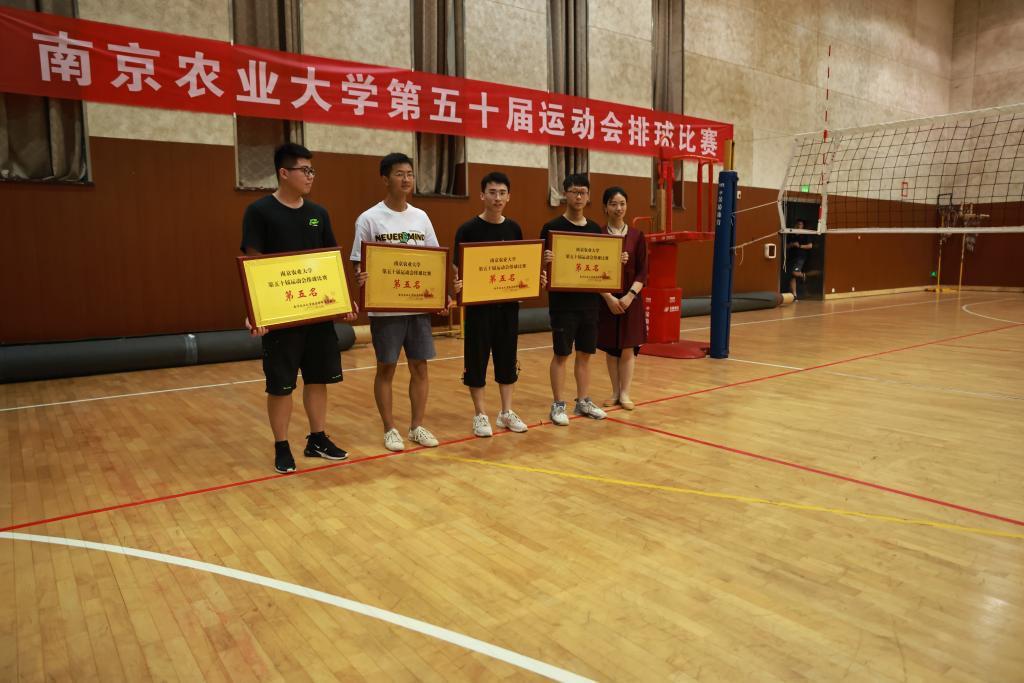 探球体育体育频道