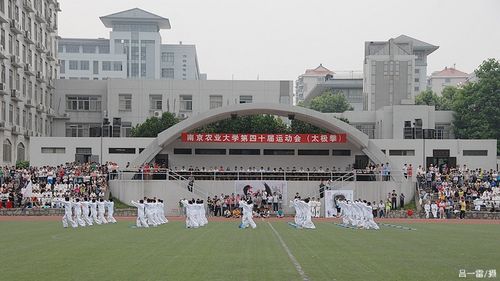 探球体育指定入口图片