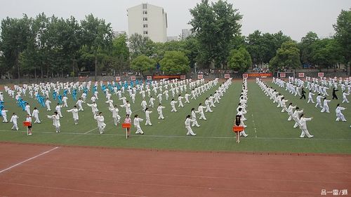 探球体育客户端图片