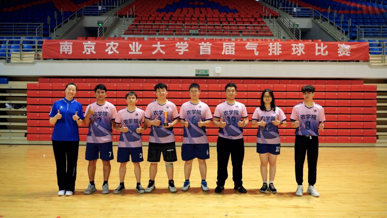 探球体育稳定线路