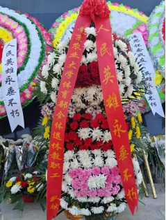 探球体育官方线路