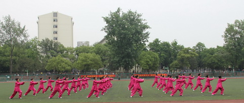探球体育官方线路图片