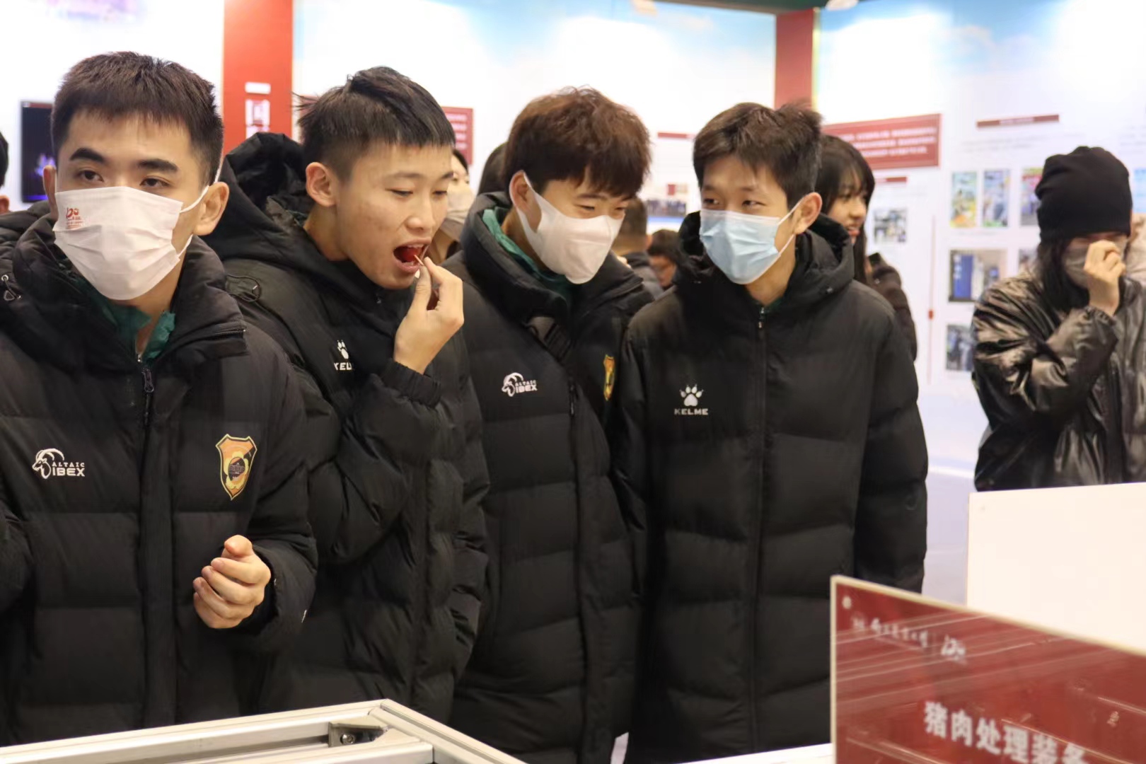 探球体育体育频道图片