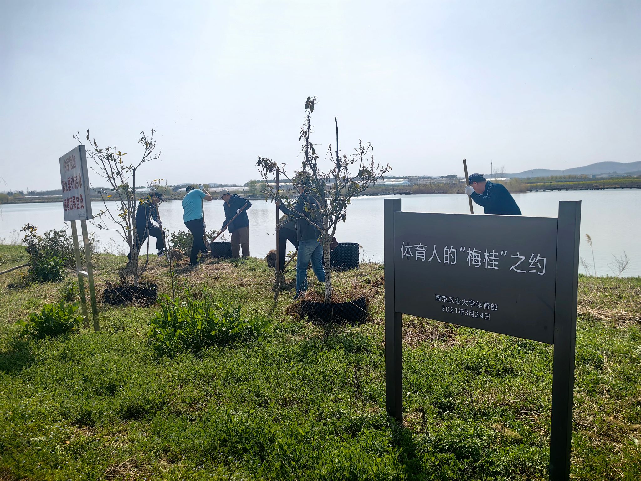 探球体育客户端