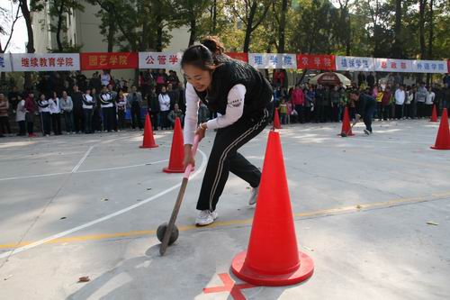 探球体育欧冠直播图片