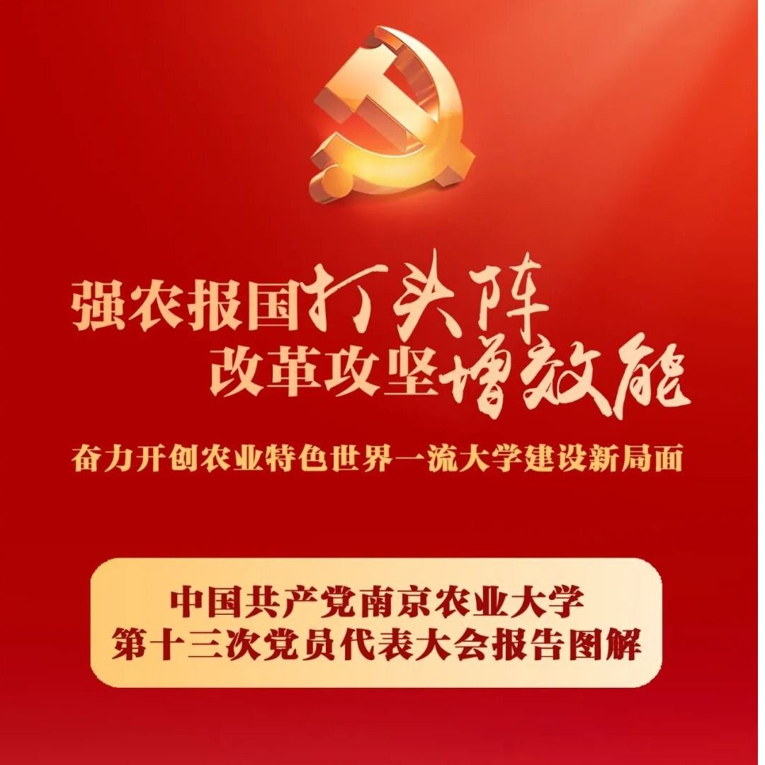 探球体育欧冠直播图片