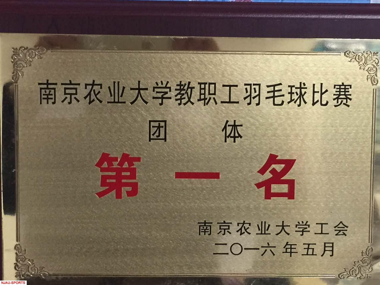 探球体育指定入口