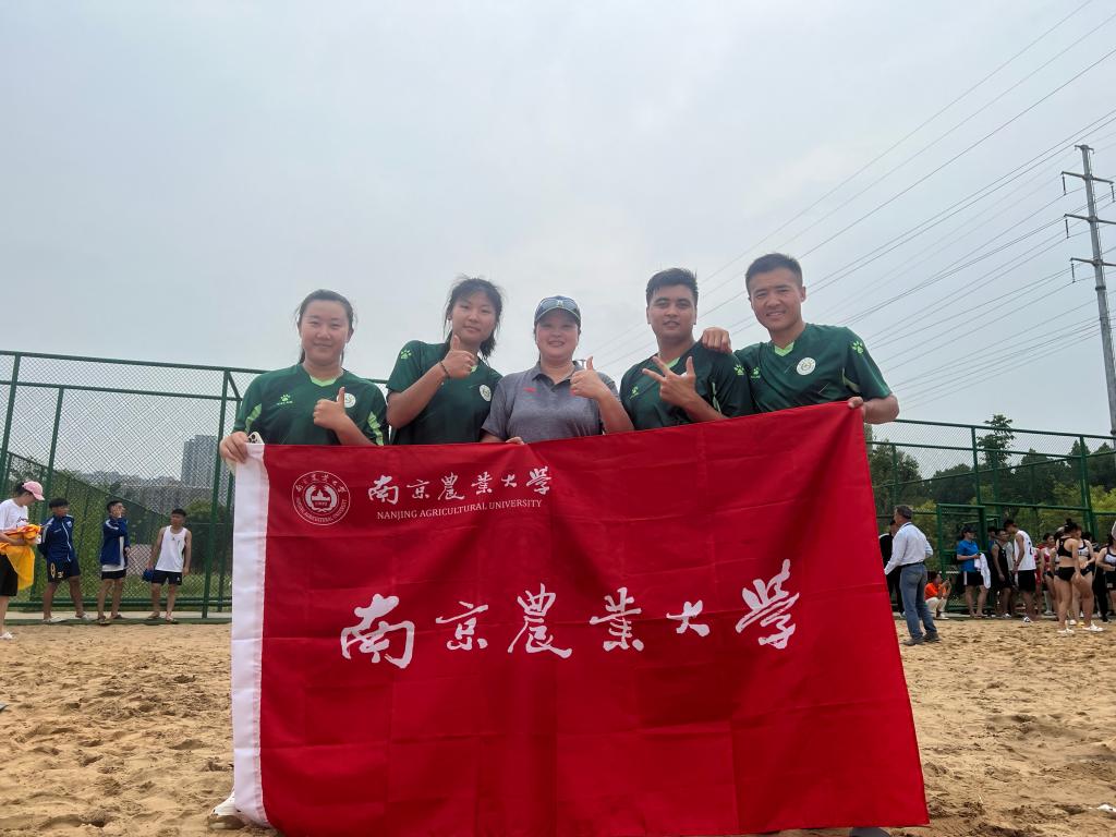 探球体育直播图片