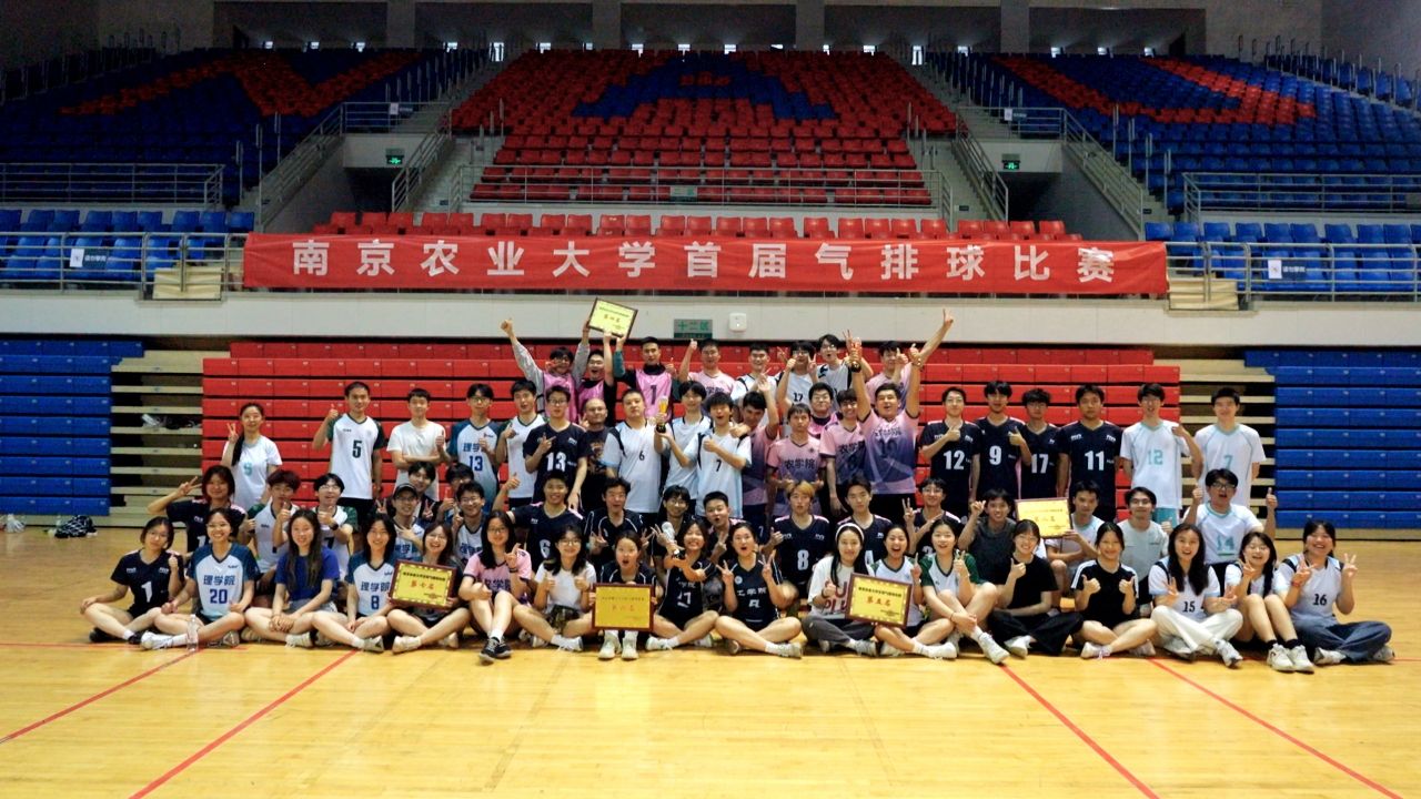 探球体育核心通道