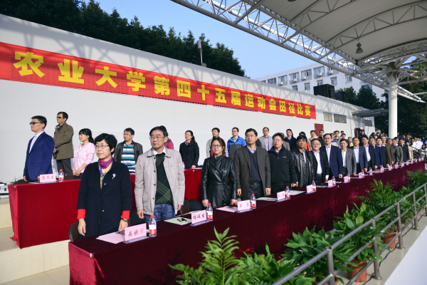 探球体育欧冠直播图片