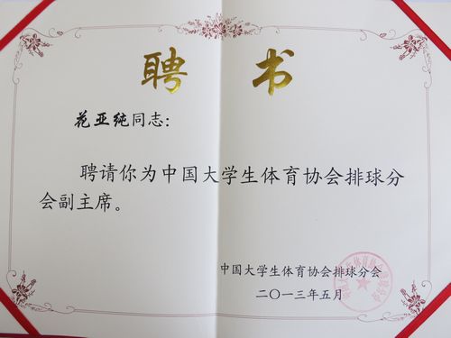 探球体育备用网址图片