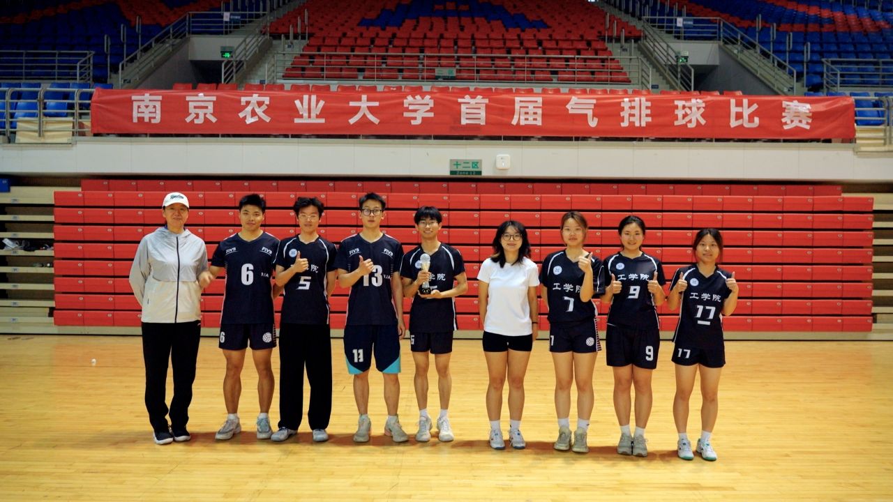 探球体育手机版