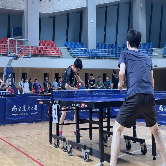 探球体育安全通道