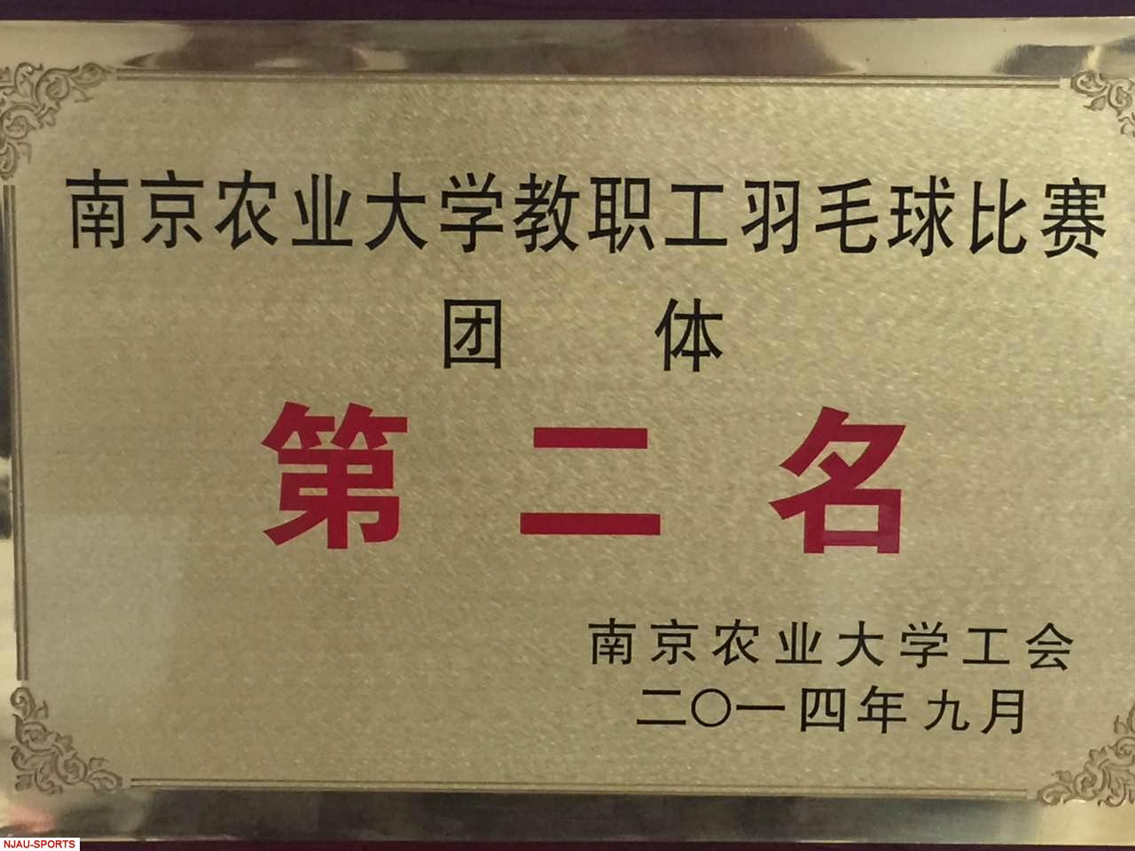 探球体育体育频道