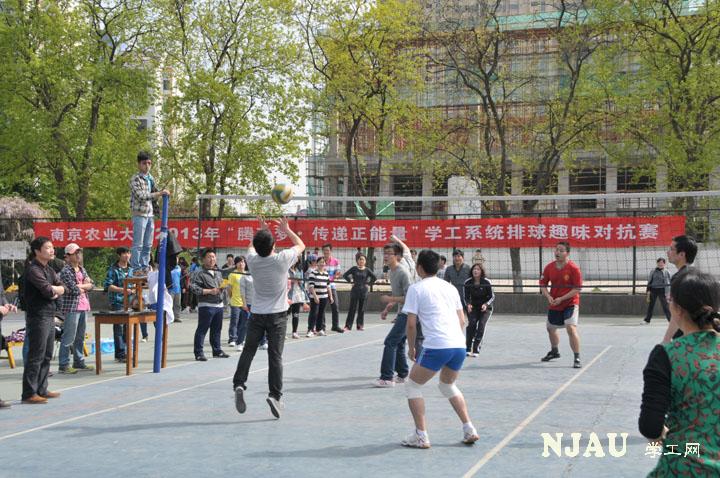 探球体育直播图片