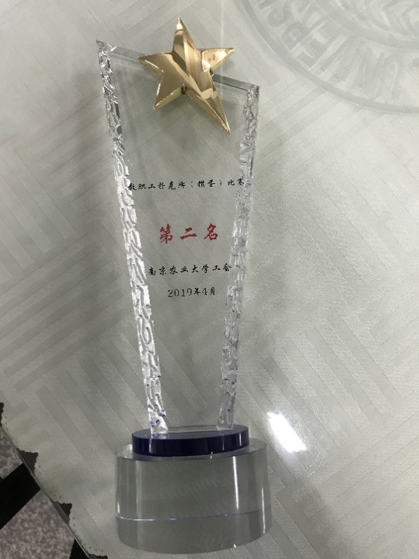 探球体育APP下载