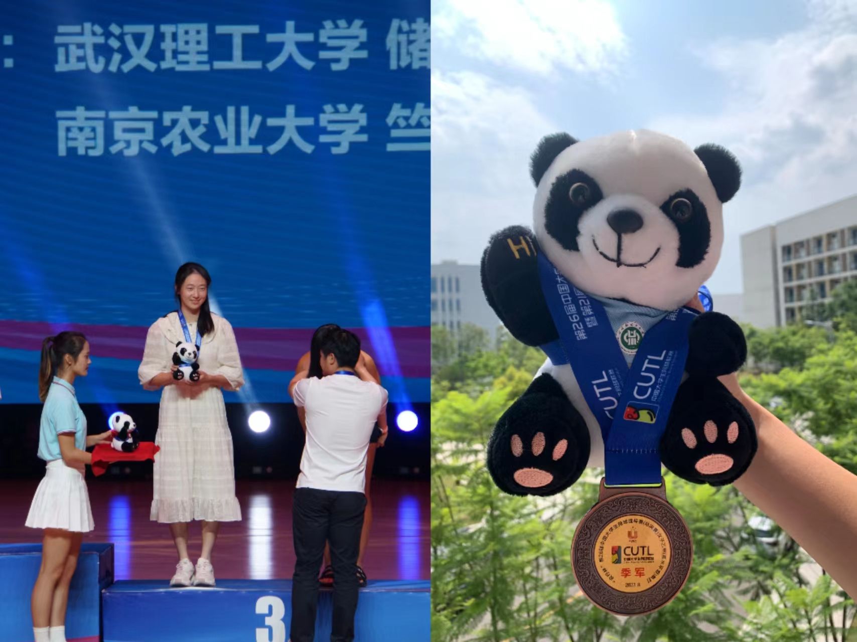 探球体育官方线路