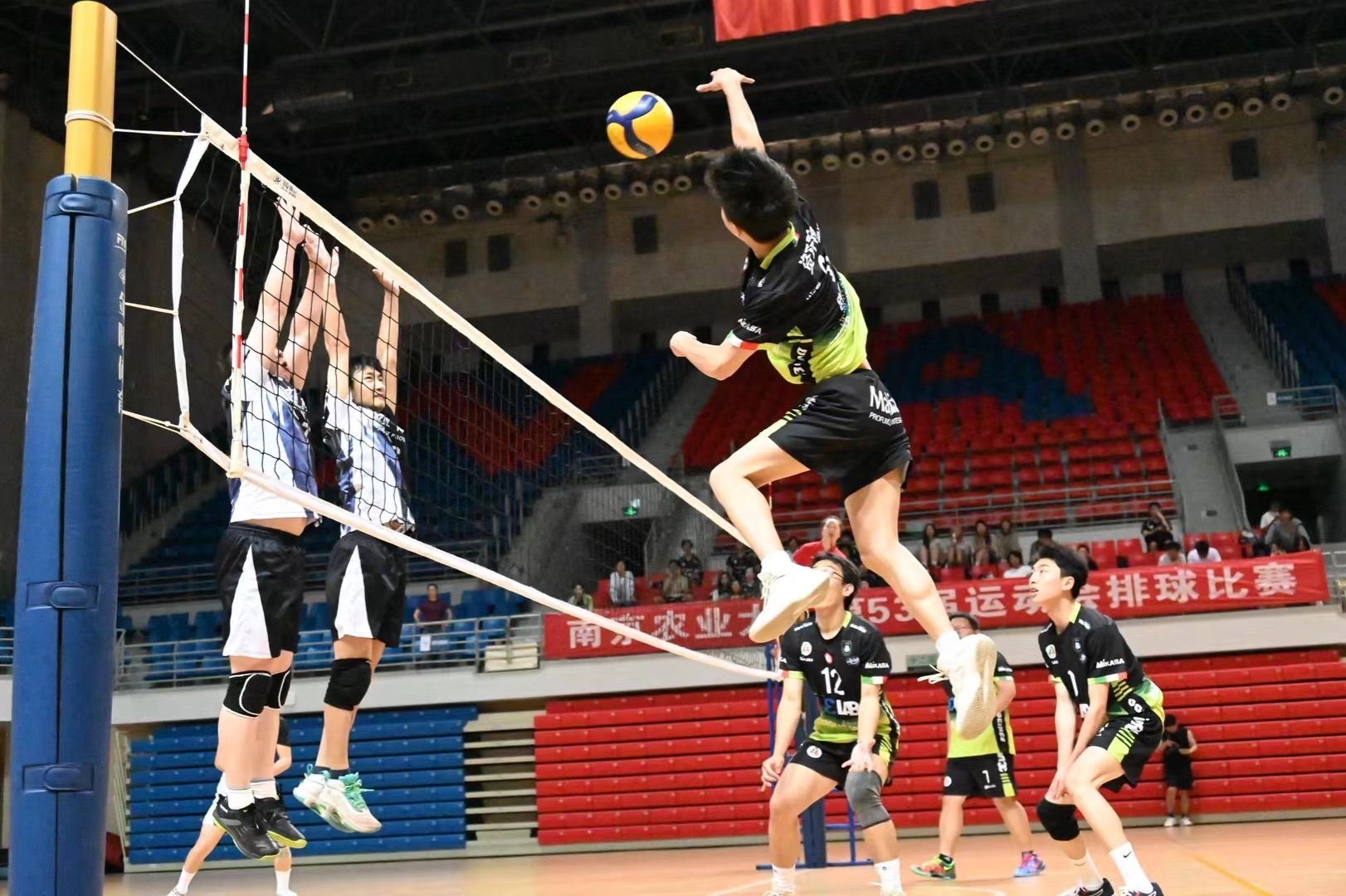 探球体育赛事资讯平台
