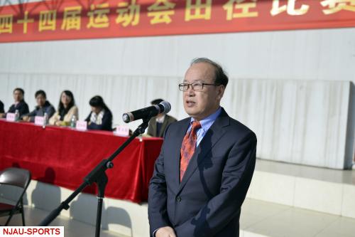 探球体育欧冠直播