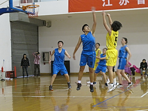 探球体育客户端图片