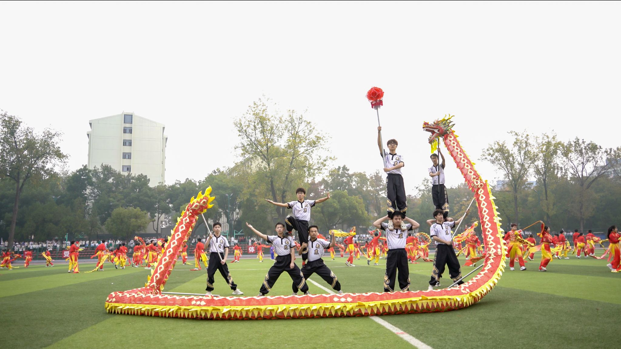 探球体育平台图片