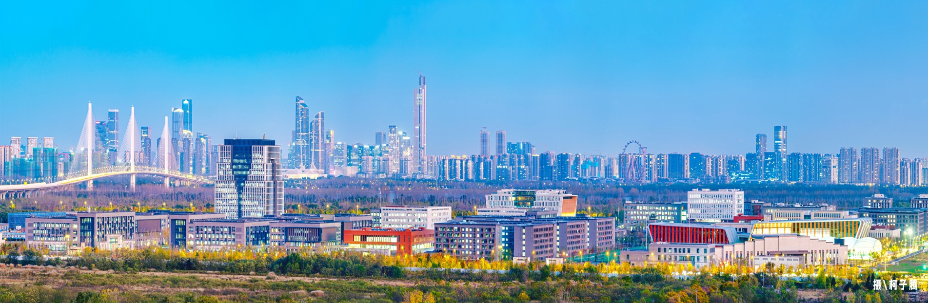 探球体育直播图片